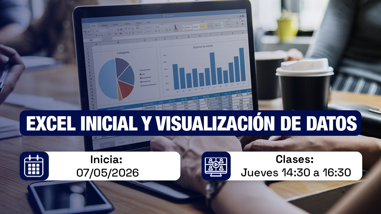 EXCEL BÁSICO Y VISUALIZACIÓN DE DATOS – 2026